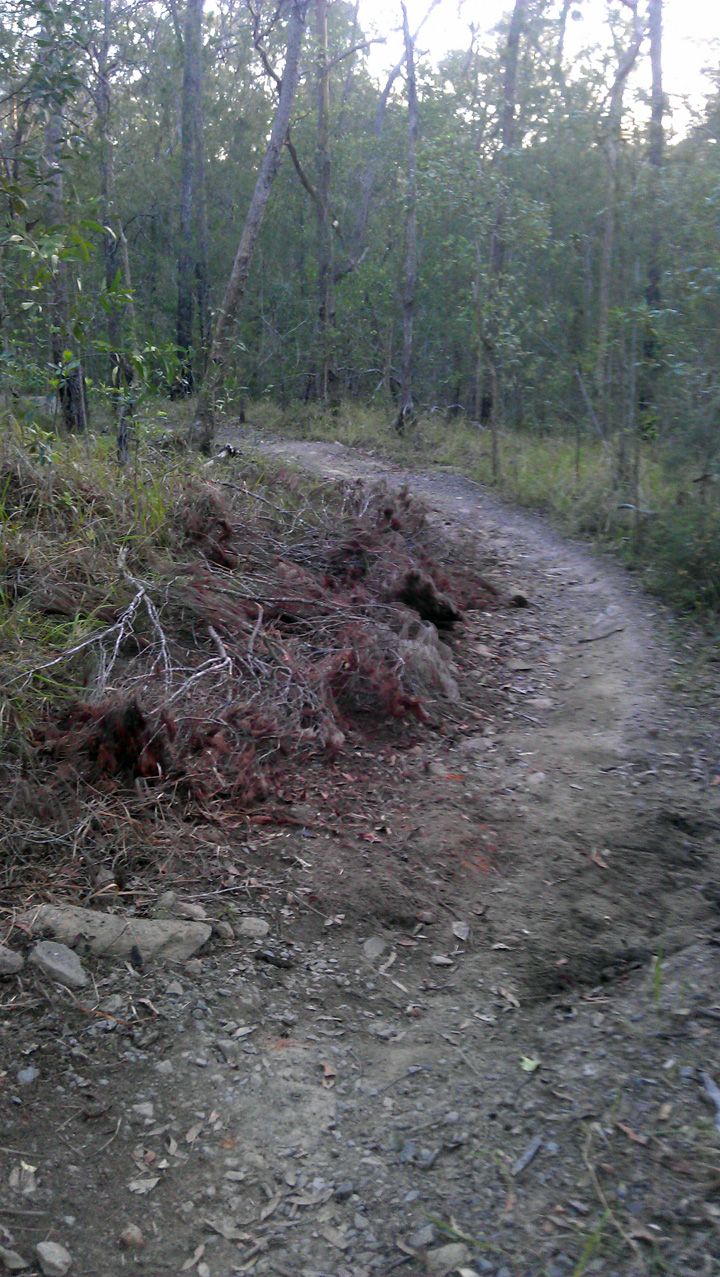 Park Repair 3